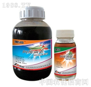 �W�P-���S����