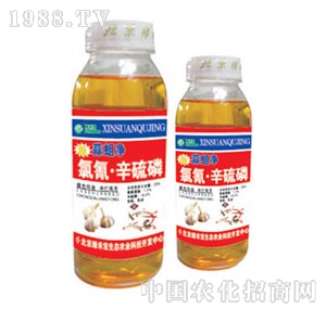 ���G�̌�-������