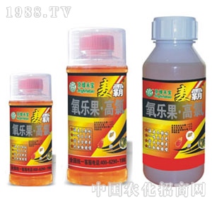 ���G�̌�-����