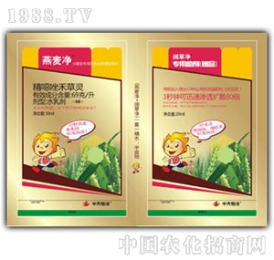 �������-������+韲݃�