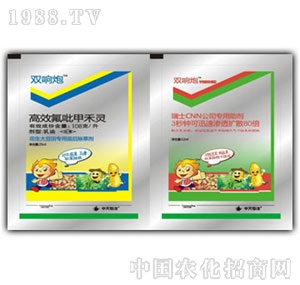 �������-�p���