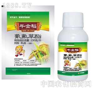 �������-ǧ��