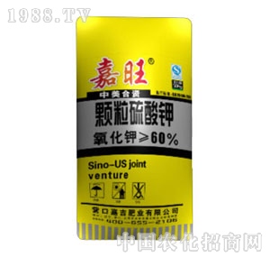 ����-�w�������