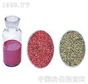 �S��(l��)�r(n��ng)��-��ʢ