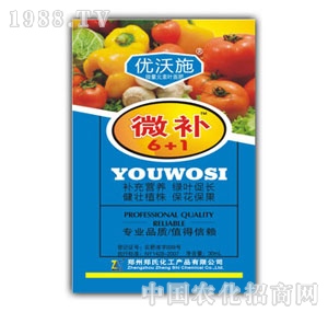 ��(y��u)��ʩ΢�a(b��)6+1