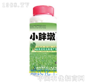 С�ֶվ²˿������a(ch��n)����