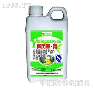 �A�(y��ng)-40%����ݬȥ��Ҹ���