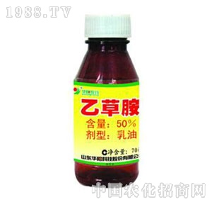 �A�-50%�Ҳݰ�����