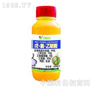 �A�-44%�������������Ҳݰ�