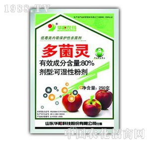 �A�-80%����`�ɝ��Էۄ�