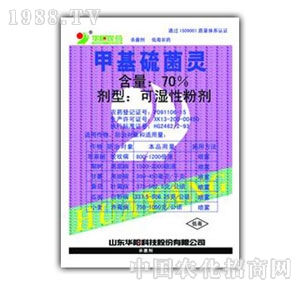 �A�-70%�׻�����`�ɝ�ۄ�