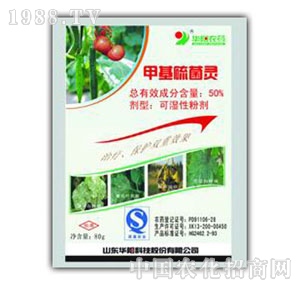 �A�-50%�׻�����`�ɝ��Էۄ�