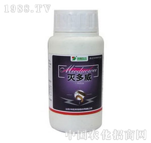 �A�-20%���������