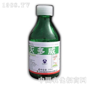 �A�-������l(w��i)�`1̖