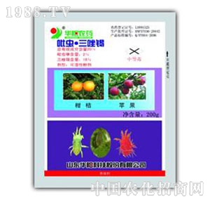 �A�-20%���x�����a