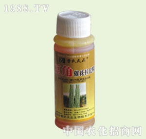 �̴T�S-���Ǵ߻����L(zh��ng)��