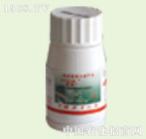 �̴T�S-5%�۸���