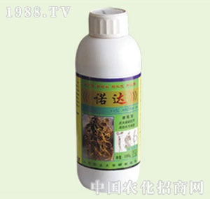 �̴T�S-�Z�_(d��)