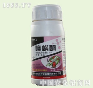 �̴T�S-����ͪ