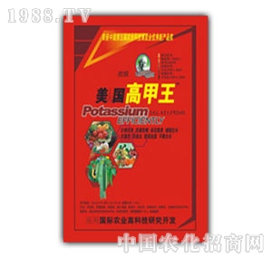 ɽ�|��Ԫ-����(gu��)�߼���