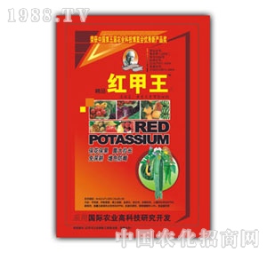 ɽ�|��Ԫ-�t����