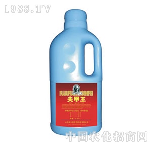 ɽ�|��Ԫ-�����