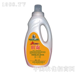 ɽ�|��Ԫ-�~��