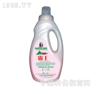 ɽ�|��Ԫ-����