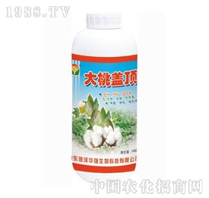 ���A��(qi��ng)-�����w�