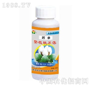 ���A��(qi��ng)-������֦