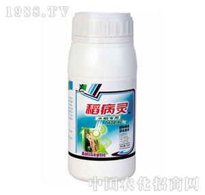 ���A��(qi��ng)-�����`