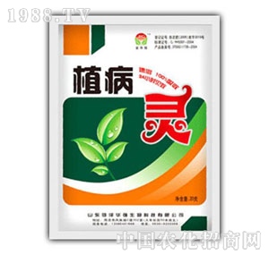 ���A��(qi��ng)-ֲ���`