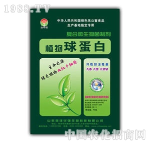 ���A��(qi��ng)-ֲ���򵰰�