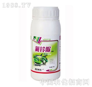 ���A��-�����