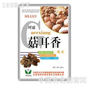 ���A��(qi��ng)-������