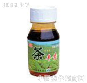 ���A��-���S��