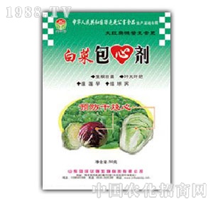 ���A��-�ײ˰��Ą�