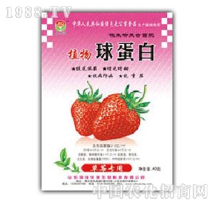 ���A��-ֲ���򵰰ײ�ݮ����