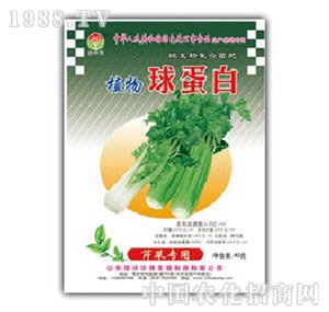 ���A��-ֲ���򵰰��۲ˌ���