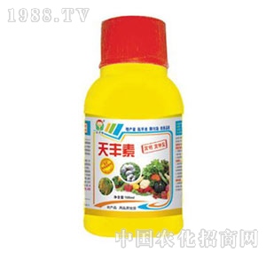 ���A��-���S��