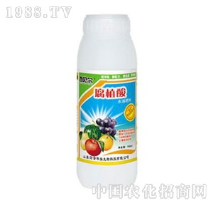 ���A��-��ؐ����ֲ��