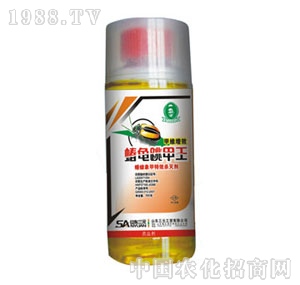 ɽ�|��Ԫ-���w������