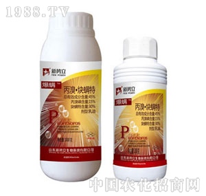 ��(sh��)��-����