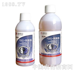 ��(sh��)��-��(zh��n)��