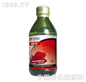 ��(sh��)��-��ţ