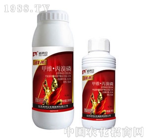 ��(sh��)��-��(zh��n)��