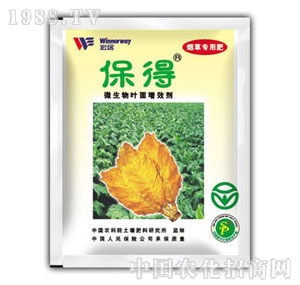 �~����Ч�����݌���