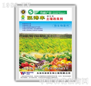 �����S����������