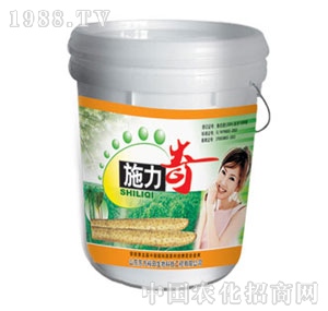 ��ԣ����-ʩ����ɽˎ��(zhu��n)��