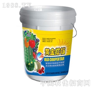 ��ԣ����-�S���n